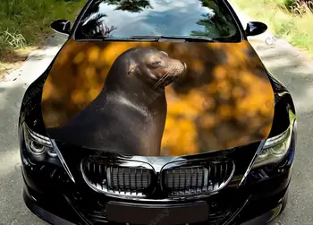 Животно - Морски лъв Смешни кола качулка винил стикери обвивам винил филм двигател капак стикер стикер на кола авто аксесоари